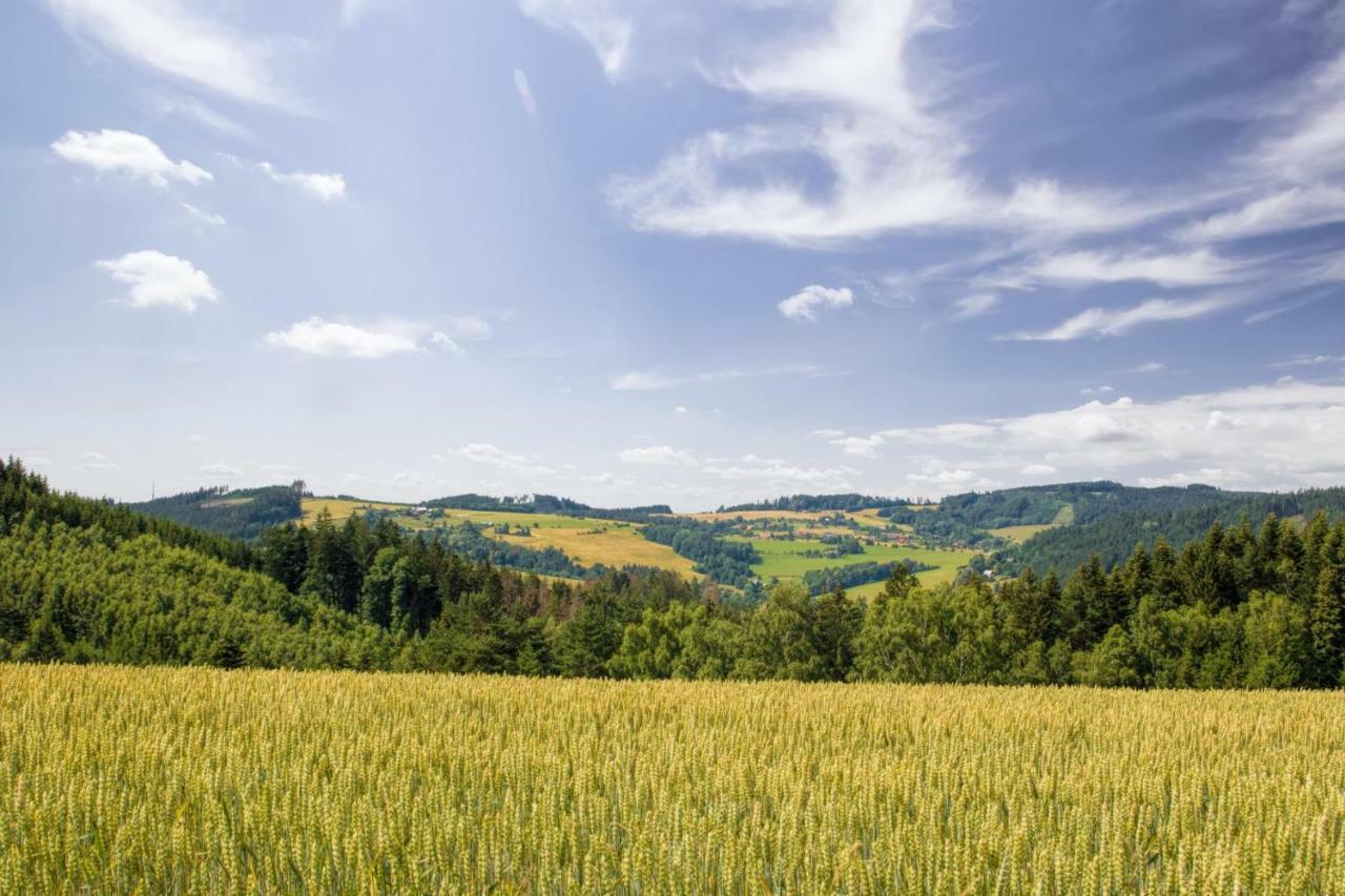 Ubytování Na prženských pasekách Mikuluvka Exteriér fotografie